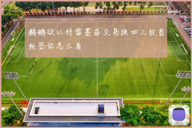 鹈鹕欲以特雷墨菲交易换回三枚首轮签你怎么看